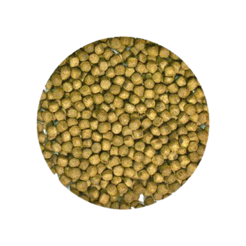 Zoo Med Natural Aquatic Turtle Food Maint Formula - 12 oz The Reptile Grove